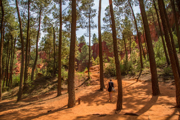 Ockerfelsen und Ockerlehrpfad in Roussillon Vaucluse, Südfrankreich