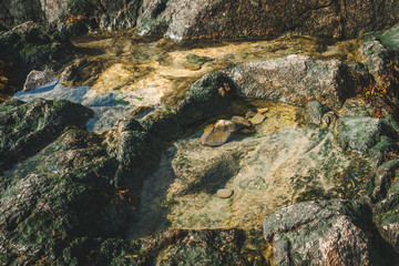 Natural pools of water on a sunny day in rocks covered with green moss