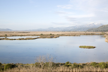 Albufera National Park; Alcudia; Majorca