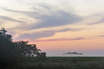 Fototapeta na wymiar beautiful glade at dawn in the fog