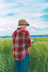 Naklejka na ściany i meble Farmer using digital tablet in wheat crop field