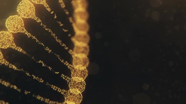 rotating plexus DNA chain - golden orange version.