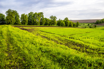 arable field farm