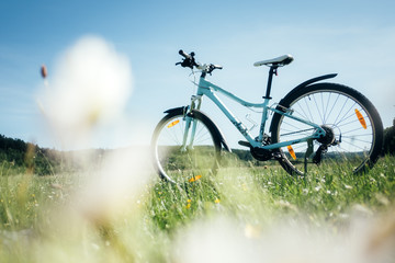 Fototapeta na wymiar Blue female bike on blooming yellow meadow. Sunny day