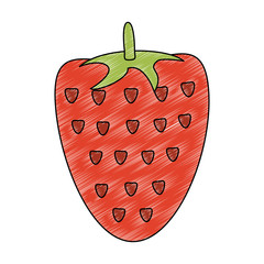 Strawberry fruit isolated vector illustration graphic design