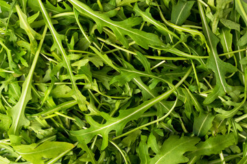 The arugula salad leaves background.