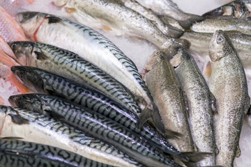 Fresh sea fish on ice in supermarket. healthy food