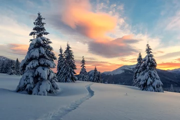 Foto op Aluminium Fantastisch oranje winterlandschap in besneeuwde bergen die gloeien door zonlicht. Dramatische winterse scène met besneeuwde bomen. Kerst vakantie concept. Karpaten berg © Ivan Kmit