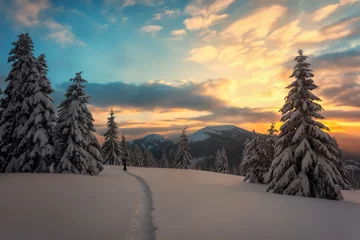 Zelfklevend Fotobehang Fantastic orange winter landscape in snowy mountains glowing by sunlight. Dramatic wintry scene with snowy trees. Christmas holiday concept. Carpathians mountain © Ivan Kmit