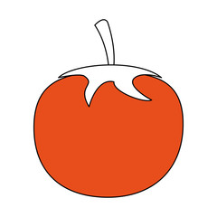 Tomato vegetable isolated vector illustration graphic design