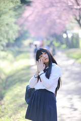 Japanese school girl dress with sakura flower nature walkway