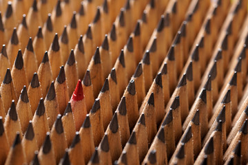 Identical black graphite pencils and one red pencil