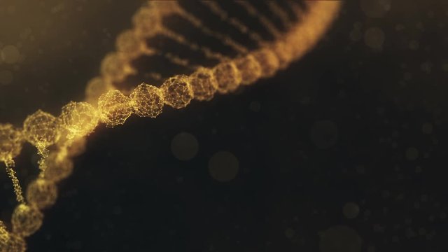 rotating plexus DNA chain with impulses running through - golden orange version.
