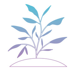 leafs plant ecology icon vector illustration design