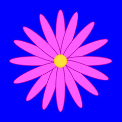 Flower on the blue background