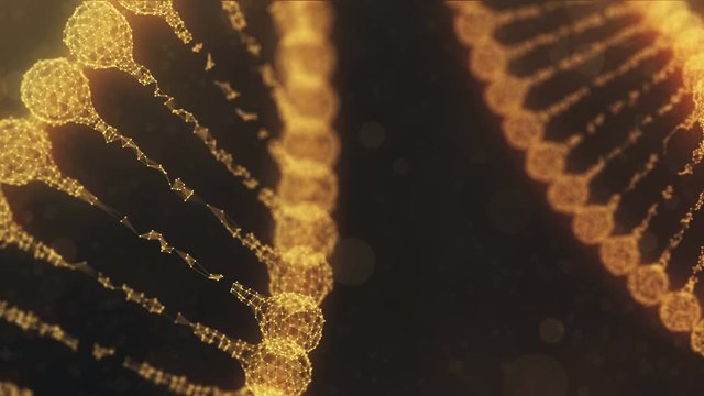 two rotating plexus DNA chains - golden orange version.