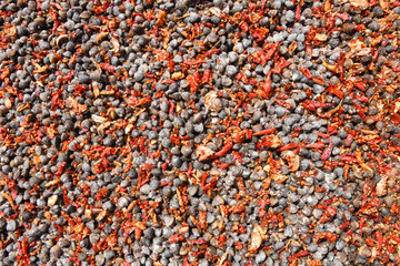 Shells and chilli for background