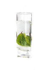 Shots with ice and herbs