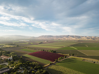 Aerial view of agriculture land in California