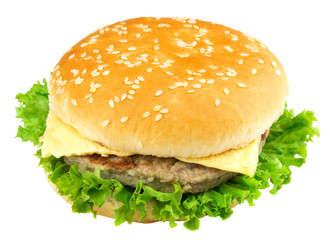fresh tasty burger isolated on white background
