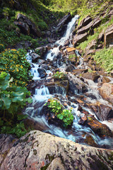 River deep in mountain forest.