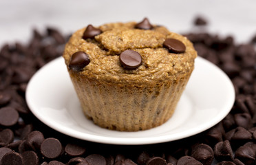 Homemade Chocolate Chip Muffins