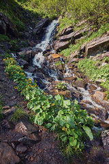 River deep in mountain forest.