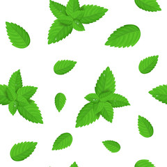 Realistic Detailed Fresh Green Mint Leaves Seamless Pattern Background. Vector