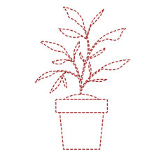 house plant in pot vector illustration design