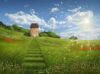 Fantasy field and house in a beautiful day
