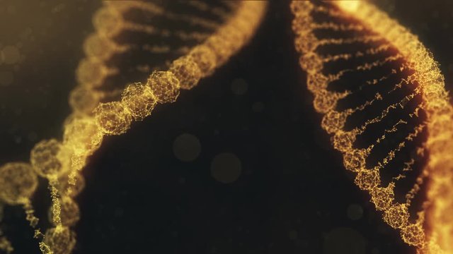 two rotating plexus DNA chains with impulses running through - orange version.