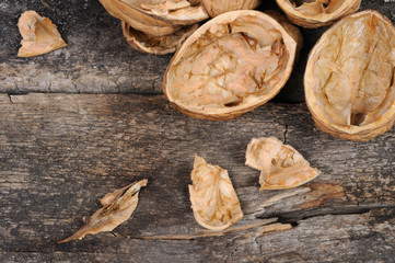 Sorrel of walnuts. Front view.