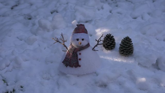 Snowman and pine cones