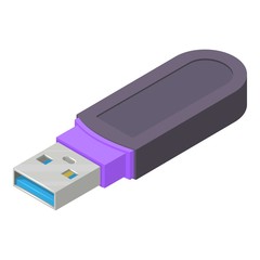 Digital flash drive icon, isometric style