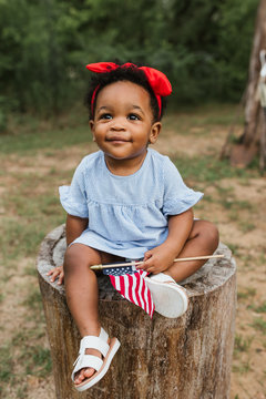 Adorable little toddler girl sitting on a tree stump, wearing a cute dress and holding an American Flag.