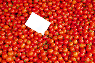 Spring summer detox vegetable diet. Close up of harvest pile. Supermarket stand of clean and shiny vegetables assortment.