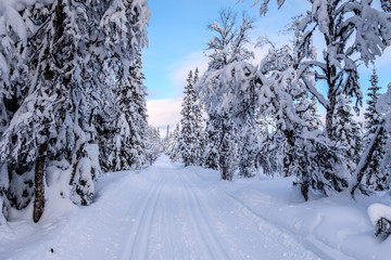 Cross country tracks