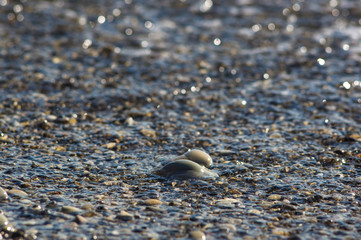 pebble stones on the sea beach, the rolling waves of the sea with foam