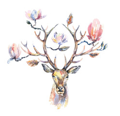 Fototapety  Watercolor illustration. Isolated deer head with beautiful flowers on the horns.