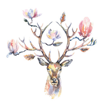 Watercolor illustration. Isolated deer head with beautiful flowers on the horns.