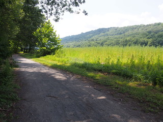 Fototapeta premium Poconos