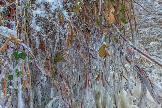 Magic isc sculptures at the beach , on a frosty winter day. - Frozen Ocean ice formations at the Baltic Sea