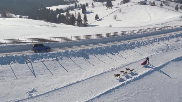 Aerial view of a dog sled riding on a snowy road