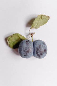 Plum Bum