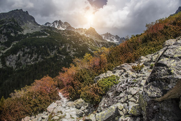Forest autumn landscape in the mountains. High Tatras.