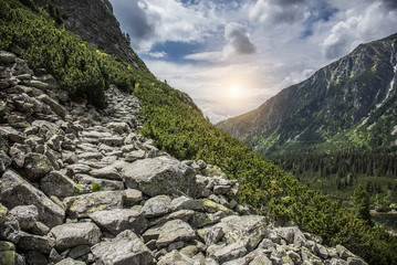 Forest autumn landscape in the mountains. High Tatras.