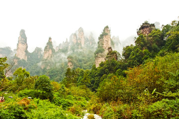 beautiful landscape of ten mile natural gallery with rocks and pillars resembling animals and people zhangjiajie china 