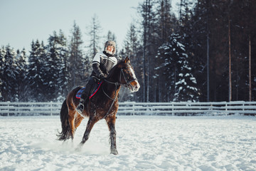 Fototapeta na wymiar Winter jump horse ride jumping