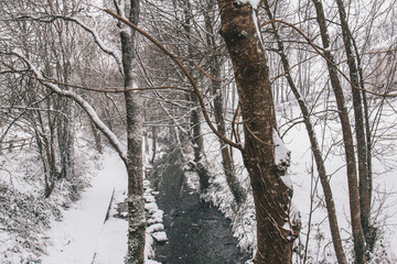 Fototapeta premium Rural setting in the village of Carrignavar during Storm Emma, also known as the Beast from the East, which hit Ireland at the start of March: stream surrounded by trees and roads covered in snow.