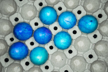 blue eggs